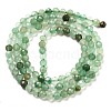 Natural Green Aventurine Beads Strands G-G161-A15-04-3