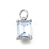 Brass Glass Charms KK-V011-36P-B-1