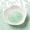 8/0 Glass Seed Beads SEED-Z001-C-E05-2