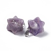 Natural Amethyst Pendants G-C002-02E-4