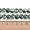 Baking Paint Transparent Glass Beads Strands DGLA-N011-10mm-07-4