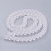 Baking Paint Transparent Glass Bead Strands GLAA-S031-12mm-13-3