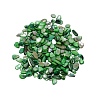 Natural Shell Beads BSHE-WH0001-06-1