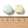 Opaque Resin Imitation Food Decoden Cabochons RESI-H165-01-3