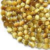 Natural Tiger Eye Beads Strands G-K389-E54-01-3