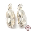 925 Sterling Silver Pendants STER-B002-12S-1