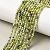 Natural Serpentine Beads Strands G-P603-C-2mm-06-1