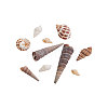 Natural Spiral Shell Beads SSHEL-CJ0001-03-6
