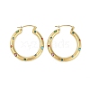 Ion Plating(IP) 304 Stainless Steel Hoop Earrings for Women EJEW-K281-34G-01-1