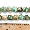 Natural Green Line Jasper  Beads Strands G-B128-A03-04-3