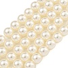Glass Pearl Beads Strands HY-G002-01D-02-1