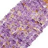 Natural Ametrine Beads Strands G-C250-02-2