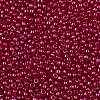 TOHO Round Seed Beads SEED-JPTR11-0798-2