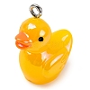 Animal Theme Resin Pendants RESI-S010-04B-1