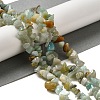 Natural Flower Amazonite Chips Beads Strands G-M205-12-01-6