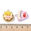 Opaque Resin Dessert Craft Pendant RESI-D014-02P-3
