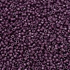 MIYUKI Delica Beads X-SEED-J020-DB2360-3