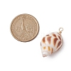 Natural Spiral Shell Pendants PALLOY-JF02949-2