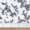 MIYUKI Delica Beads X-SEED-J020-DB0387-4