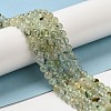 Natural Prehnite Beads Strands LS-G-S333-6mm-032-6