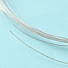 Dead Soft 925 Sterling Silver Wire STER-NH004-A-2