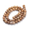 Natural Maifanite/Maifan Stone Beads Strands X-G-P451-01A-C-4