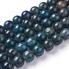 Natural Apatite Beads Strands G-F627-07-E-1