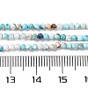 Natural Howlite Beads Strands G-C025-02A-07-5