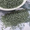MIYUKI Delica Beads SEED-JP0008-DB2378-4