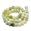 Natural New Jade Beads Strands G-K340-A01-02-3