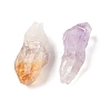 Nuggets Raw Natural Quartz Crystal & Amethyst & Yellow Quartz Collections AJEW-Q152-05-4