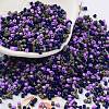 Baking Paint Glass Seed Beads SEED-S042-05B-54-1