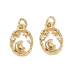Brass Micro Pave Clear Cubic Zirconia Charms CU-CBAF0F8-16E-G-1