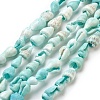 Spiral Shell Beads Strands BSHE-L037-09-1