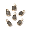 Natural Labradorite Rectangle Charms G-Q169-07G-11-1