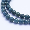 Natural Apatite Beads Strands G-F530-08-6mm-3