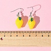 AB Color Resin Dangle Earring EJEW-FS00011-5