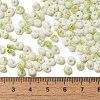 Baking Paint Glass Seed Beads SEED-F006-01A-07-4