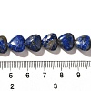 Natural Lapis Lazuli Beads Strands G-R190-10mm-54B-5