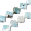 Natural Amazonite Beads Strands G-N0326-73A-01-1