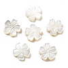 Natural White Shell Carved Beads SSHEL-Z002-02A-1