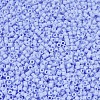 MIYUKI Delica Beads LS-X-SEED-J020-DB1596-3