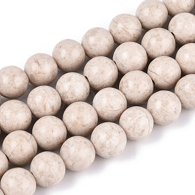 Dyed Natural Fossil Beads Strands G-T139-6mm-66A-1