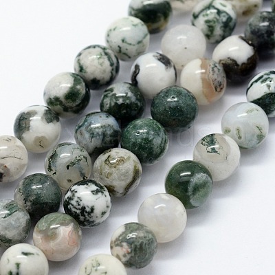 Natural Tree Agate Beads Strands G-I199-03-10mm-1