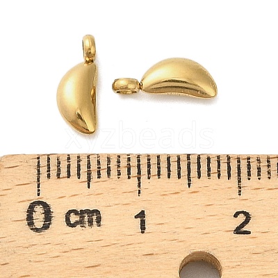 304 Stainless Steel Charms STAS-M017-14B-G-1-1