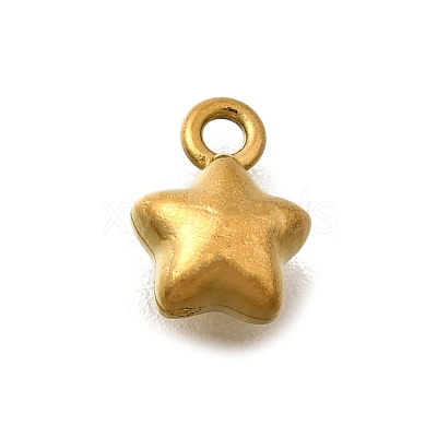 304 Stainless Steel Charms STAS-D310-06G-05-1