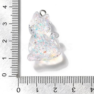 Transparent Resin Pendants RESI-Q019-01A-1