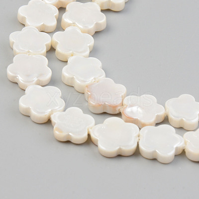 Electroplate Natural Freshwater Shell Beads Strands SHEL-T017-08-1