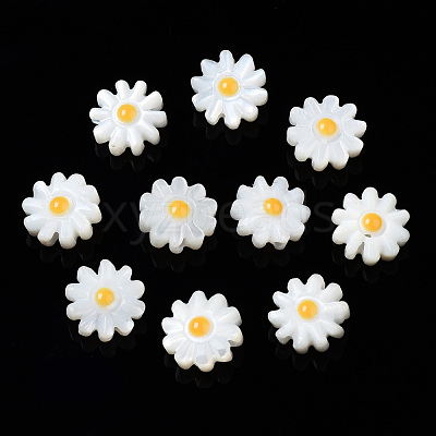 Natural Freshwater Shell Beads SHEL-N003-20B-01-1