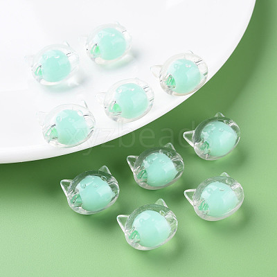 Transparent Acrylic Beads MACR-S373-115-B03-1